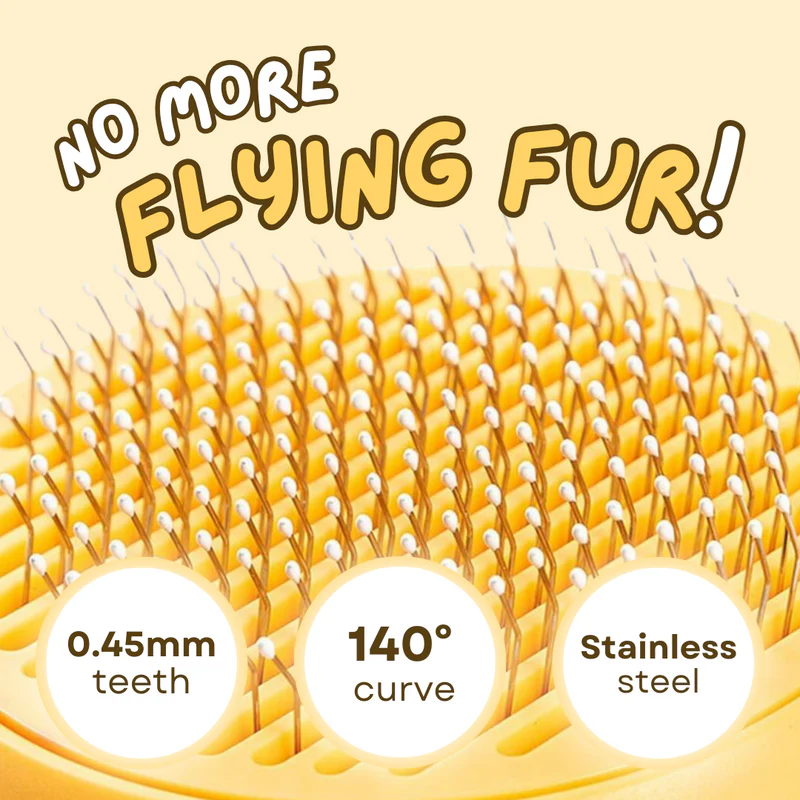 All-In-1 Cat Brush