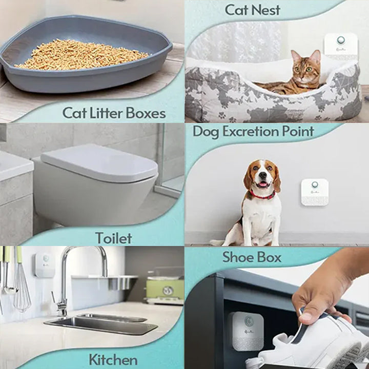 DownyPaws Odor Purifier