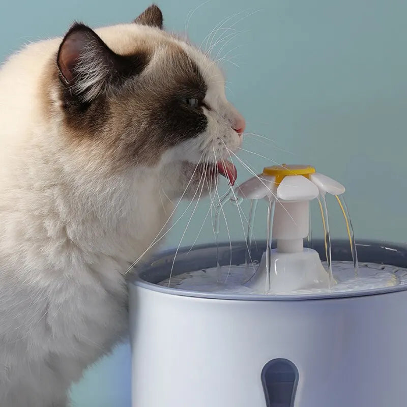 BlossomFlow Pets Fountain