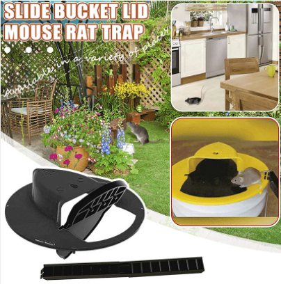 Flip N Slide Mouse Trap