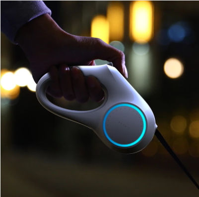 Pet's Smart Leash