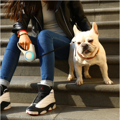 Pet's Smart Leash