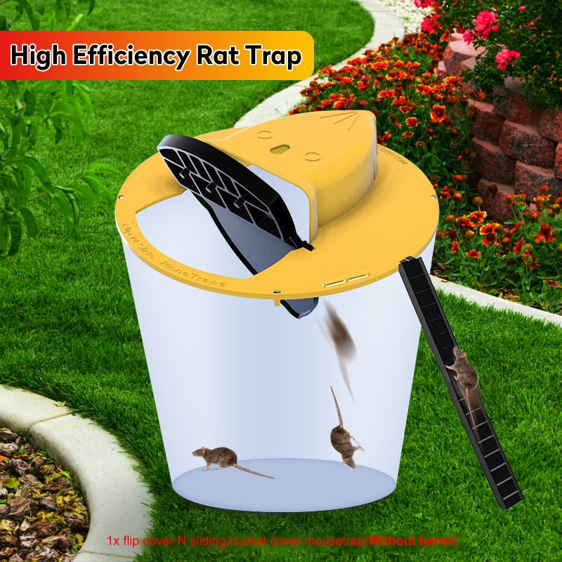 Flip N Slide Mouse Trap