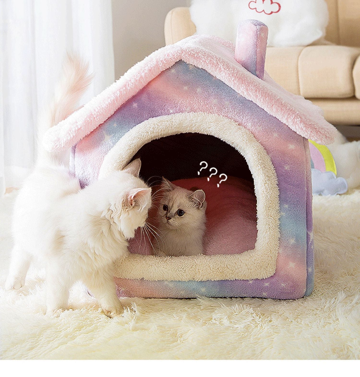 Cute Pet Bed